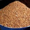 Honey (Oloyin) Beans 50lbs